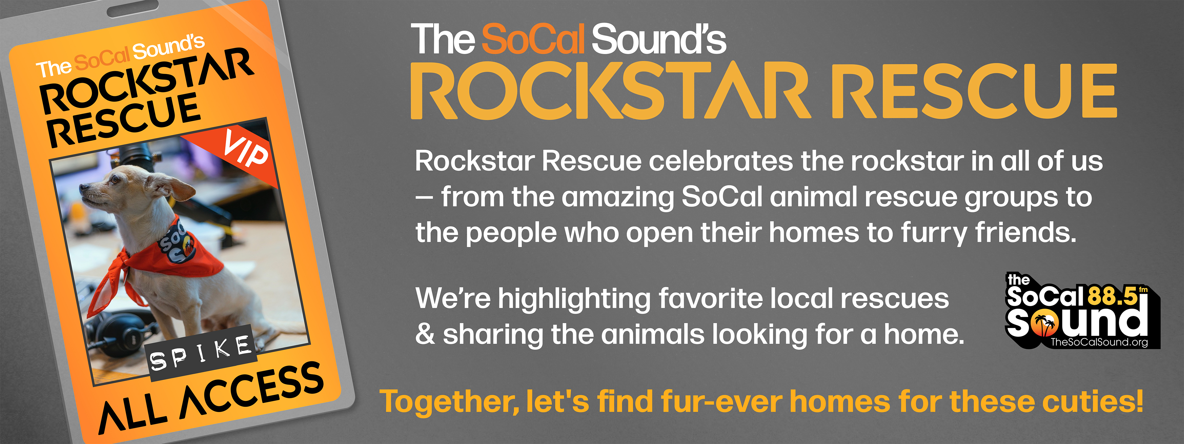 INTRODUCING THE SOCAL SOUND'S ROCKSTAR RESCUE & OUR PET OF THE WEEK - RUTHIE!