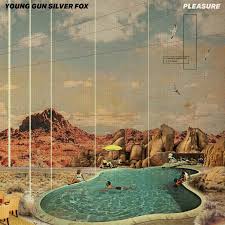 Pleasure Young Gun Silver Fox2