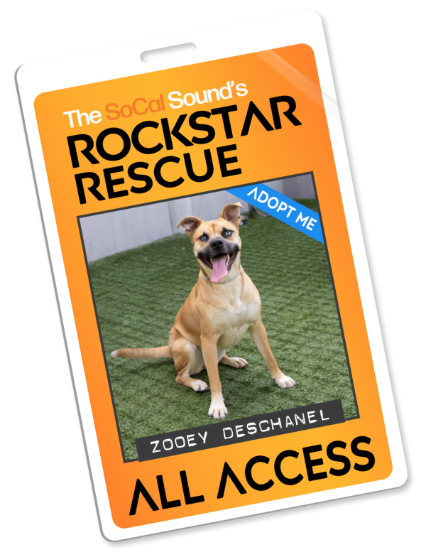KCSN RockstarRescue PotW 021126 Pass