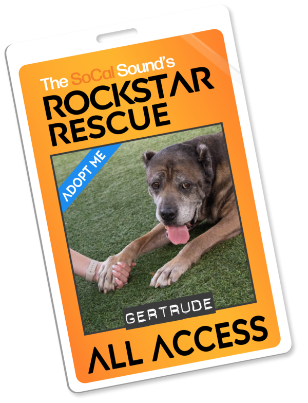 KCSN RockstarRescue PotW 110325 Pass