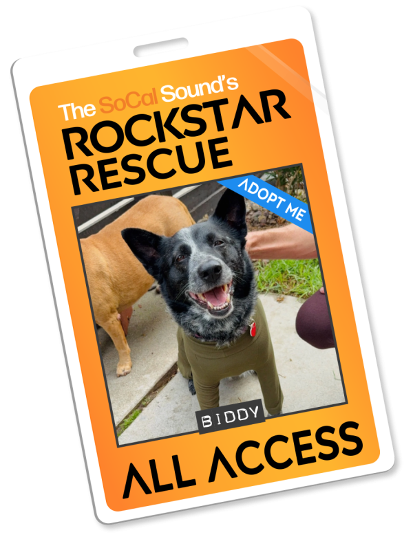 KCSN RockstarRescue PotW 120125 4 Pass