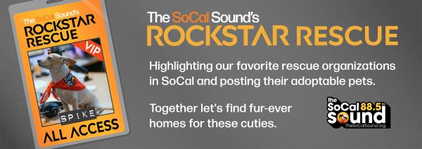 KCSN RockstarRescue General 071425 6 1130x406