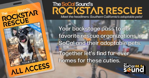 KCSN RockstarRescue PotW 020426 CreateOutlines FACEBOOK 1200x630