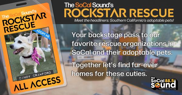 KCSN RockstarRescue PotW 031826 CreateOutlines FACEBOOK 1200x631