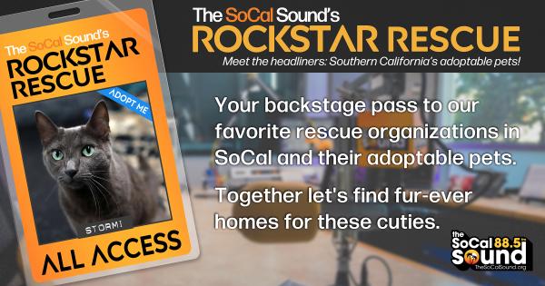 KCSN RockstarRescue PotW 042926 CreateOutlines FACEBOOK 1200x630