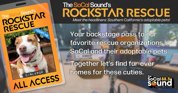 KCSN RockstarRescue PotW 050626 CreateOutlines FACEBOOK 1200x631