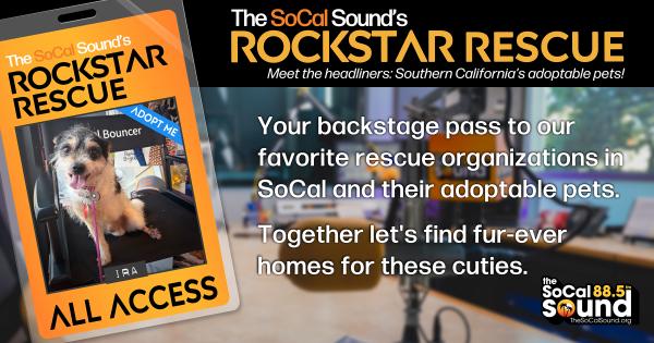 KCSN RockstarRescue PotW 091626 CreateOutlines FACEBOOK 1200x630