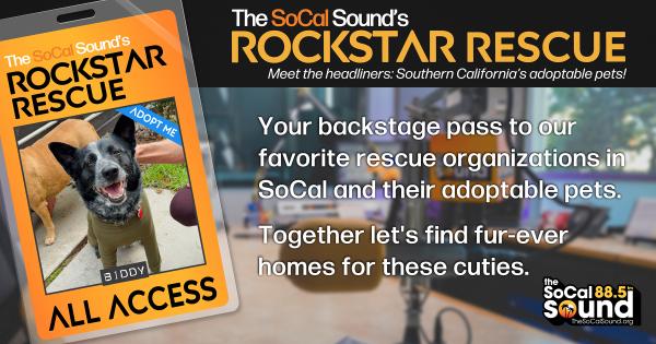 KCSN RockstarRescue PotW 120125 CreateOutlines FACEBOOK 1200x630